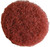 Shurhold - Coarse Scrubber Pad For Dap - 3203