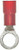 Ancor - 3/8 #8 Nylon Ring Terminal (230236)