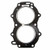 Brp - Gasket, Head - Brp (765012)