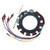 Cdi Electronics - Mercury Stator V6 9 Amp (174-5456)