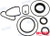 Recmar - Seal Kit Unit Lwr Unit Dps-a, (rec23020)