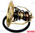 Recmar - Thermostat Kit (rec875791)