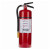 Walter Kidde Portable Equipment - Fire Extinguisher Pro10tcm 10#dc 4a60bc - 466204