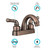 Dura Faucet - Rv Lavatoryfaucet Oilbrnz - DF-PL620C-ORB