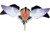 Avian-X - Avx Spinning Wing Dove - AVXDP102