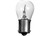 Cec - (1)bulb  #1073bp - 1073BP