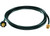 Fairview  - Thermoplastic Hose 60in - I4TC60MCPOLHW