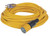 Masterplug - 10/3 50ft Locking Mechanism + Lighted Dewalt Ext Cord (ground Monitor Incl) - DXEC14410050
