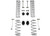 Rubicon Express - 18c Jeep Wrangler Jl 4dr 2.5 Inch Superride Lift Kit Rubicon Express - JL7141