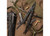 SOG - Powerlock Eod  Scissors  Black Oxide  Nylon Sheath - SOG-B61N-CP