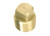 Whitecap - Pkgd 1/2in Brass Plug Only - S-5052C