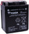 Yuasa Battery - Ytx14ahbs High Performance 12v Agm Battery (w/ Bottle Of Acid) Made In The Usa - M62H4A