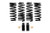 Eibach - 1115 Cts V Coupe 0.9 In 1.1 In Prokit Lowering Springs Diamond Black - 38148.14