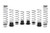 Eibach - 2021 Polaris Rzr Xp 4 Turbo S Fox Dynamix 4seat Performance Utv Spring Kit Silver - E85-209-023-02-22