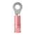 Navico Group Americas - Nylon Ring Terminal  22-18 #6  25pc - 210201
