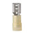 Navico Group Americas - Nylon Disconnect  Female  12-10  100pc - 220828
