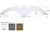 Icon Technologies Limited RV - Fender Skirt Tandem Forest River Fs2072 Polar White - 12072