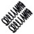 Synergy - Dodge 3.0in Coil Springs 0312 2500 / 3500 Diesel - 8555-30-HD