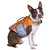 Seachoice 86273 Dog Life Jacket, Color: Orange, Size: M - 86273