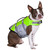 Seachoice 86283 Dog Life Jacket, Color: Green, Size: M - 86283