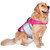 Seachoice 86265 Dog Life Jacket, Color: Pink, Size: XL - 86265