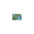 Vision Card, New York-Chesapeake - 010-C1004-00