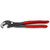 Knipex Raptor Pliers with Push-Button Adjustment (10") - 8741250