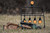 Caldwell Rimfire Resetting Target - 902365