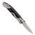 SOG Fielder Folding Knife 3.3" Satin Clip Point Blade Black G10 Handles - FF38-CP