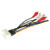 American International Amplifier Integration Harness for 1998 - 2012 Toyota/Lexus - TWH17