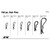 Performance Tool Hair Pin Clips Assortment (150 Piece) - W5210