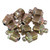 Performance Tool 1/4" NPT Straight Grease Fitting (10 Pack) - W54258