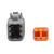 Bluewater 6 Position DTM Female Connector w/Wedge Lock - DTM06-6S