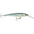 Rapala CountDown Magnum Elite 185 - 7" - Armored Sardine - CDMAGE185AMSRD