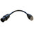 Raymarine RayNet Adapter Cable - 100mm - RayNet Male to RJ45 - A80513