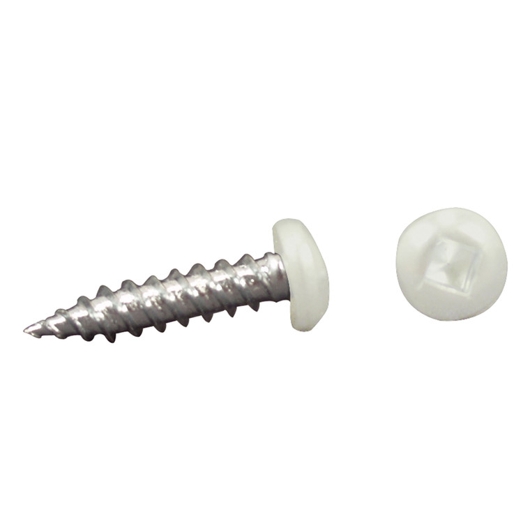 AP Products 012-PSQ50 8 X 1 Pan Head Square Recess Screw, Pack of 50 - 1", White - 012-PSQ50 W 8 X 1