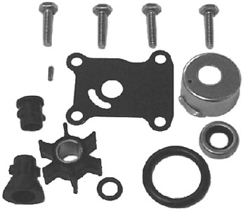 Sierra - E/j Wtr Pumpkit 391698 55-235 - 18-3400