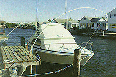 Monarch Mooring Whips - Whip Heavy Duty W/adj. Base - II