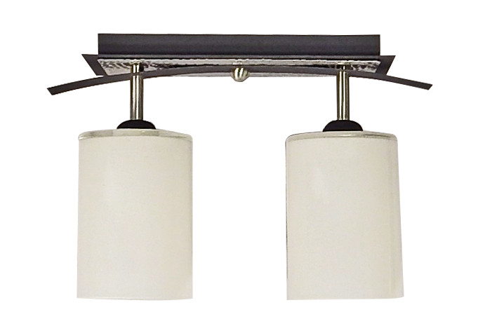 CEILING LIGHT LED TWO GLOBE - GSAMD5418