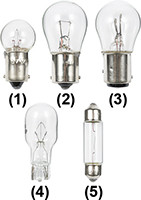 Navico Group - Festoon 8cp 12v Cd/2 - 529102