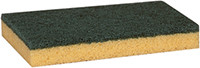 Star Brite - 2 In 1 Scrubber & Sponge - 40049