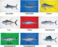 Taylor Made - Flag (36x60) - Chen Sailfish - 1952