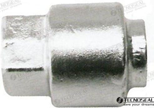 Recmar - Anode Selva 80-100hp (ten01914)