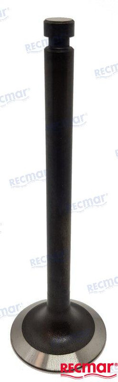 Recmar - Intake Valve (rec129100-11100)