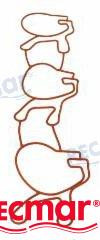 Recmar - Seal (rec335404)