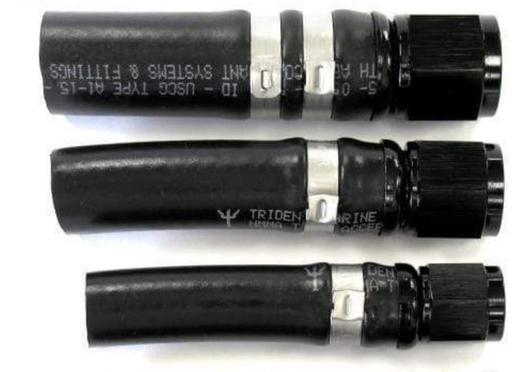 Th Marine - 105 Stplss Ear Hose Clamp-10pk (16700006x-dp)