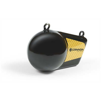 Johnson Outdoors  - 10 Pound Flash Weight - 2295184