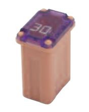 Bussmann - Micro Female Time Delay F - FMM-15