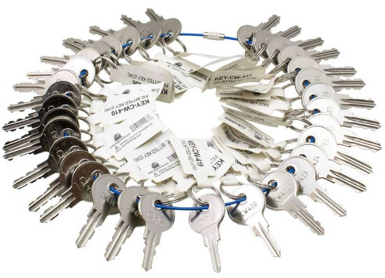 Creative Group - Fic Precut Key Ring Cw401cw434 1 Key Per Code - KEY-CWRING