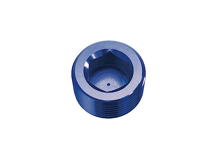 Red Horse Performance - 02 (1/8) Npt Hex Head Pipe Plug  Blue  2/pkg - 932-02-1